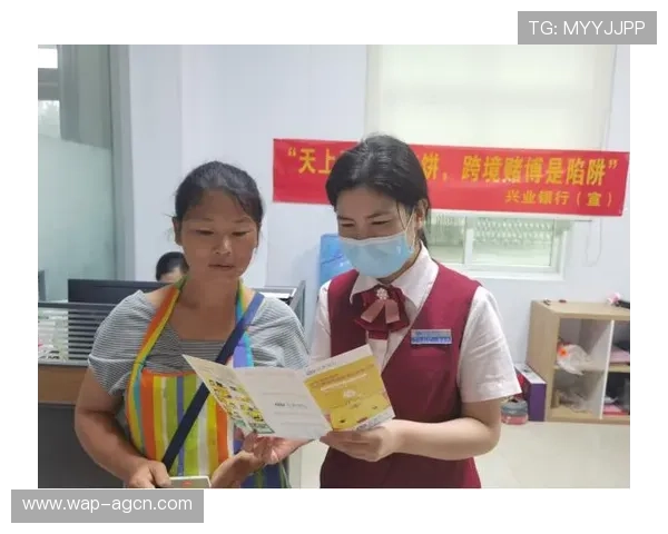 网赌百家乐的法律风险与合规问题解析帮助玩家合法合规进行游戏娱乐